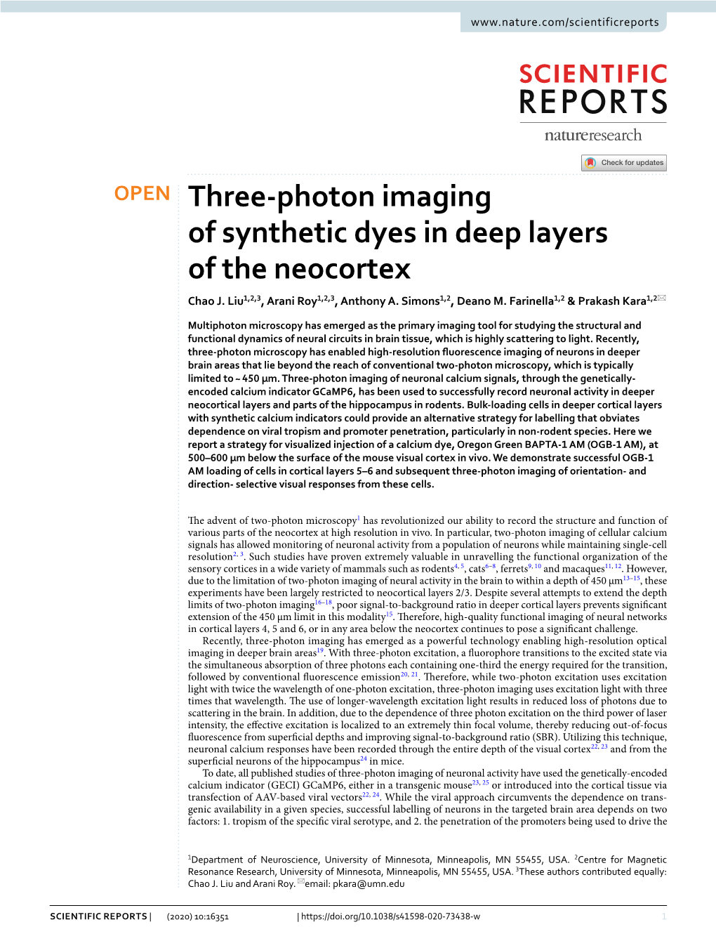 Three-Photon Imaging of Synthetic Dyes in Deep Layers of the Neocortex