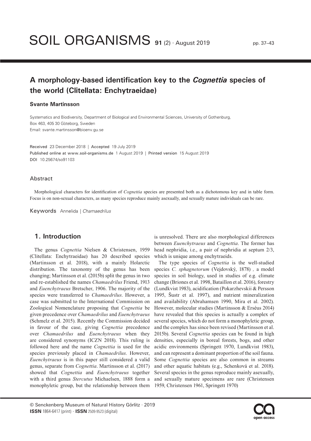 A Morphology-Based Identification Key to the Cognettia Species of the World (Clitellata: Enchytraeidae)