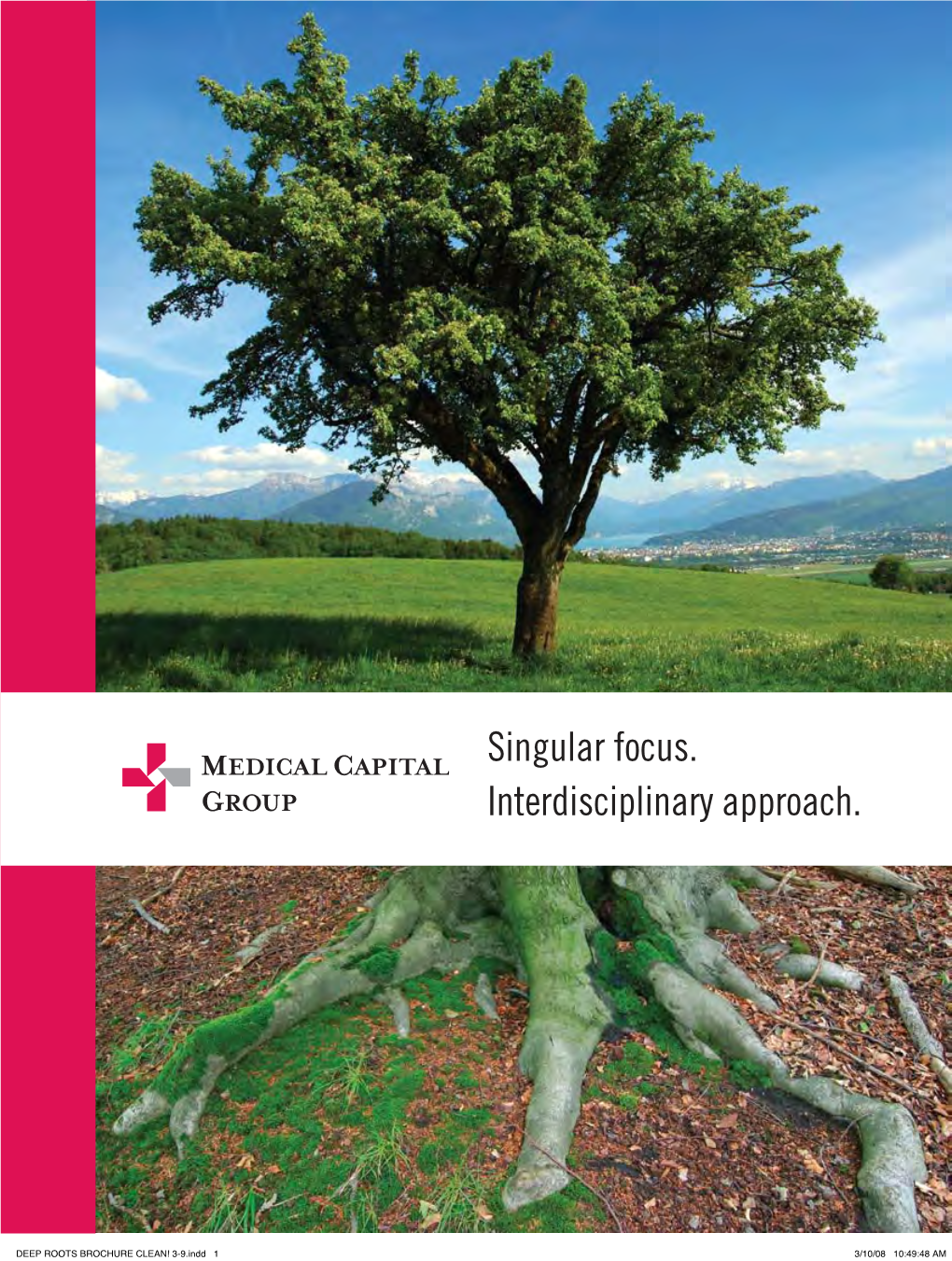 Singular Focus. Interdisciplinary Approach