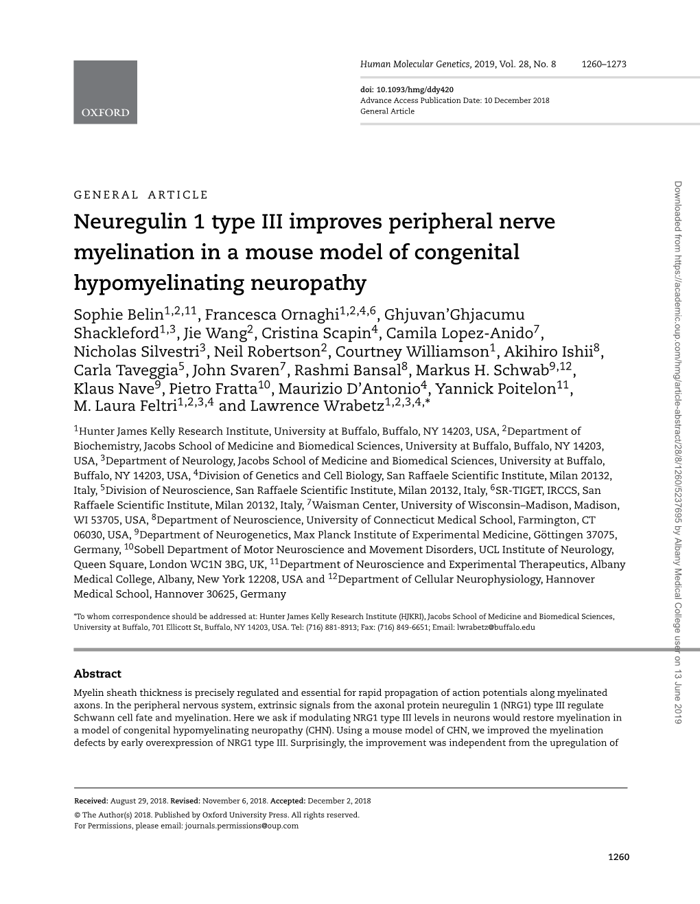 Neuregulin 1 Type III Improves Peripheral Nerve Myelination in A