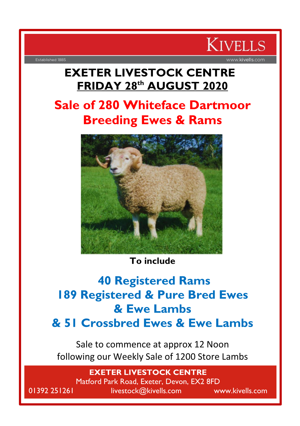 Sale of 280 Whiteface Dartmoor Breeding Ewes & Rams