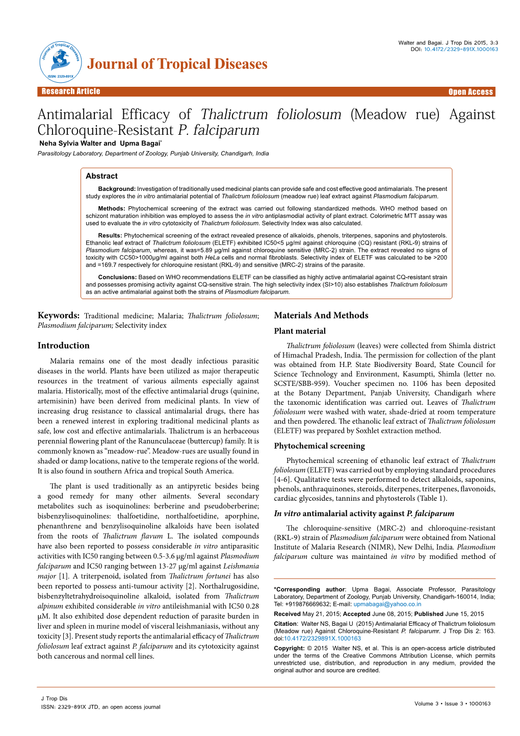 Antimalarial Efficacy of Thalictrum Foliolosum (Meadow Rue) Against Chloroquine-Resistant P. Falciparum