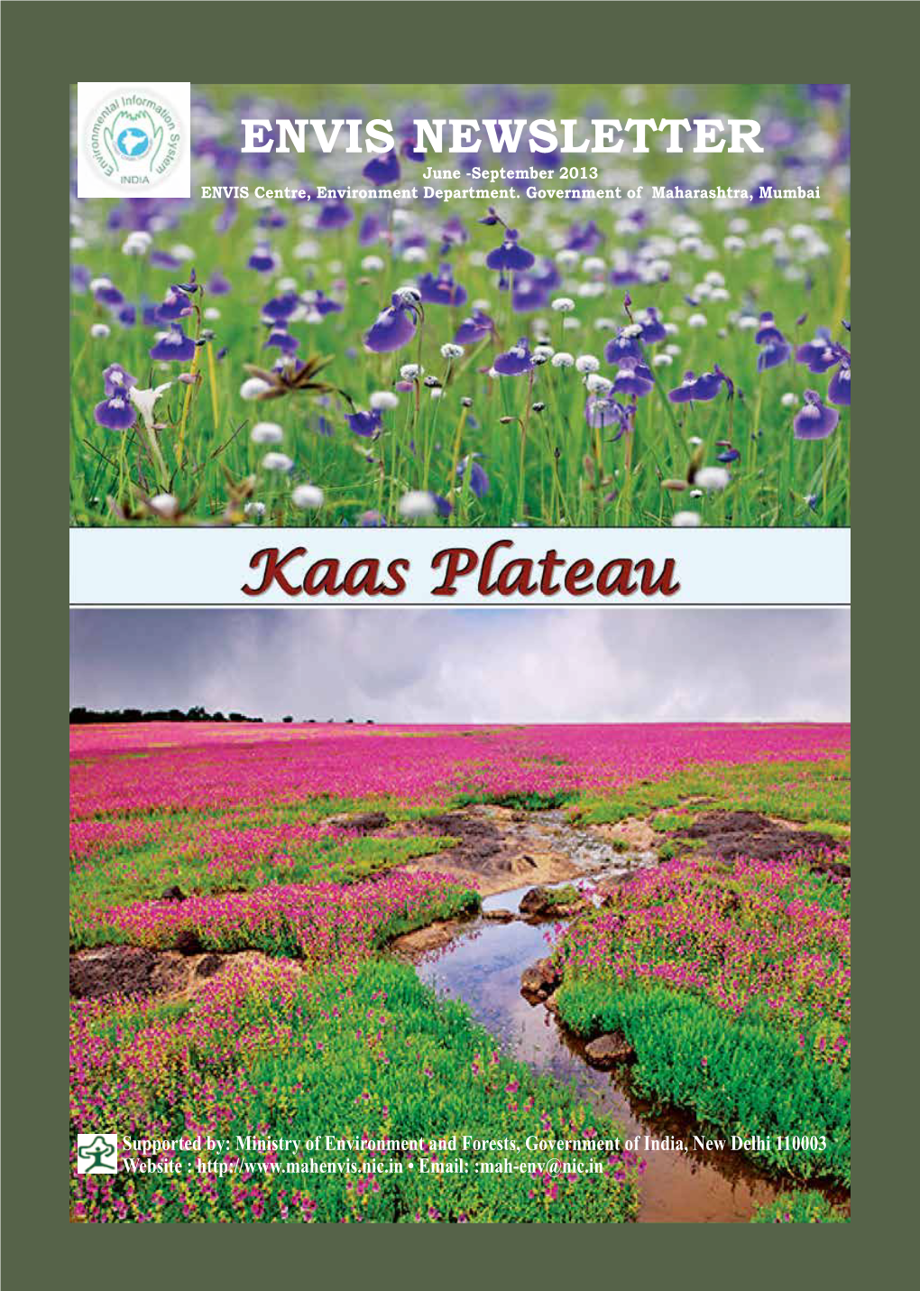 3. Kaas Plateau 4 Endemism Have Made It Globally Famous