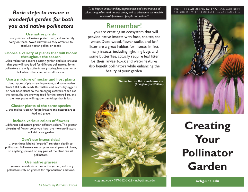 Creating Your Pollinator Garden