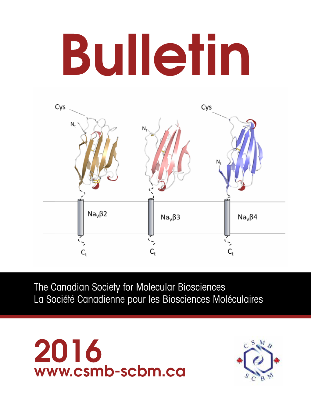 Csmbbulletin2016