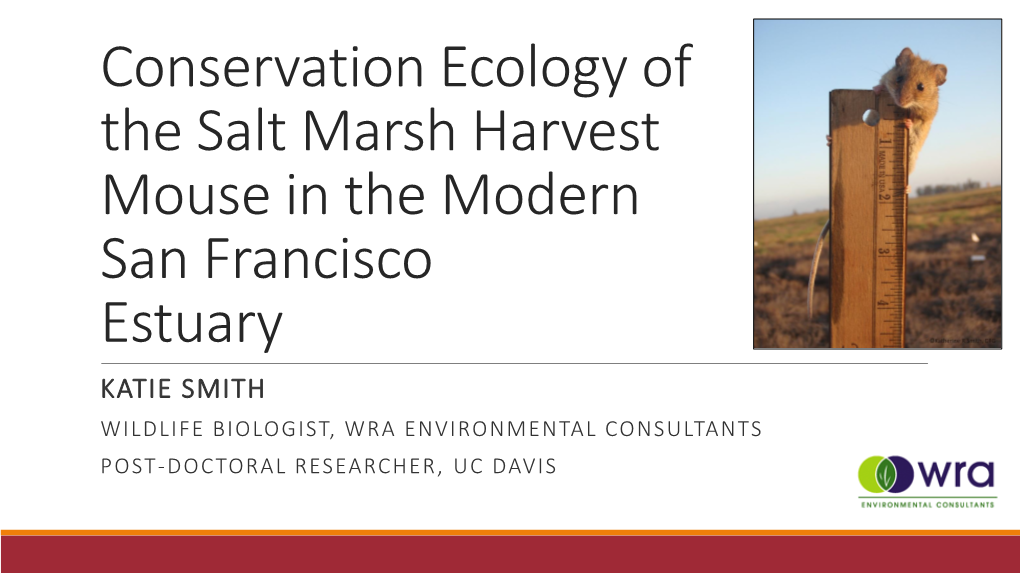 Conservation of Suisun Salt Marsh Harvest Mouse – Katie Smith