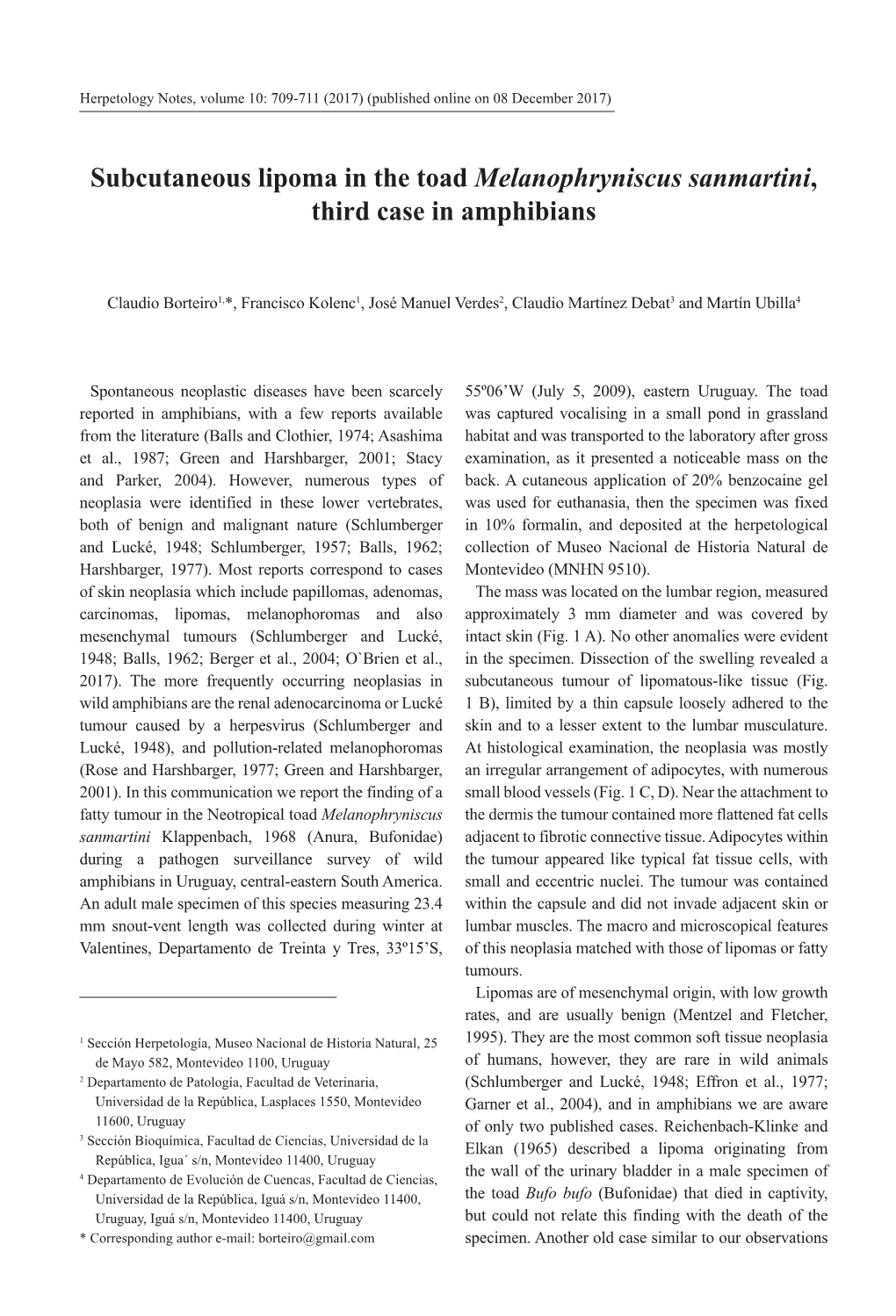 Subcutaneous Lipoma in the Toad Melanophryniscus Sanmartini, Third Case in Amphibians