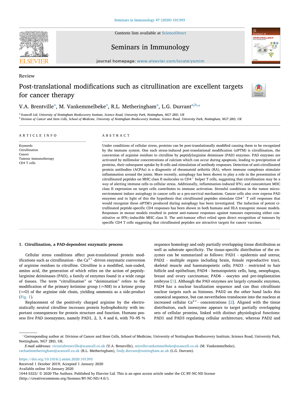 Post-Translational Modifications Such As Citrullination Are