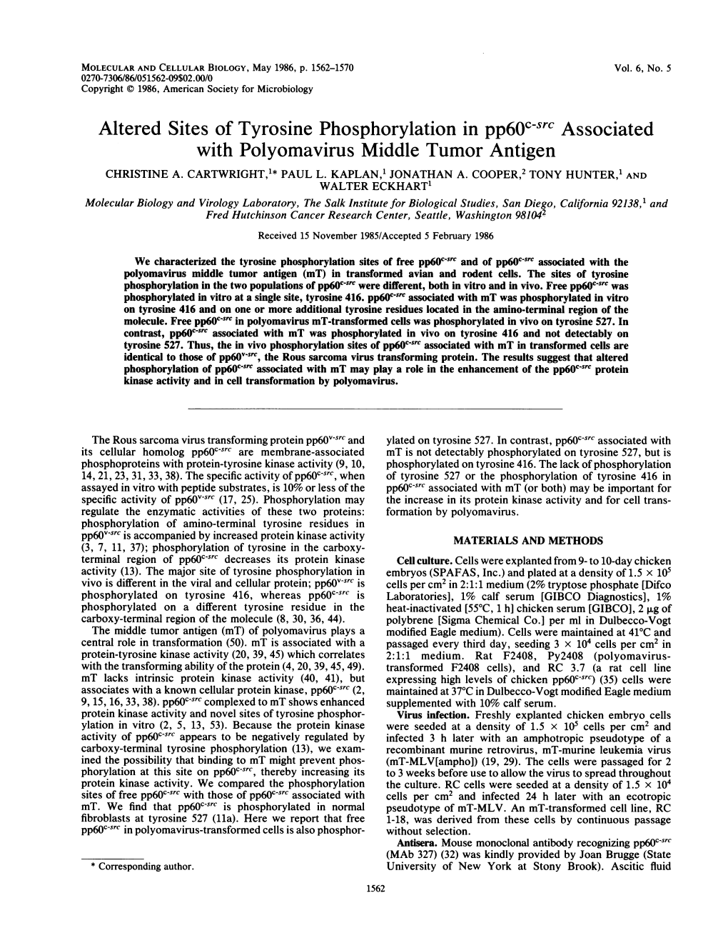 With Polyomavirus Middle Tumor Antigen CHRISTINE A