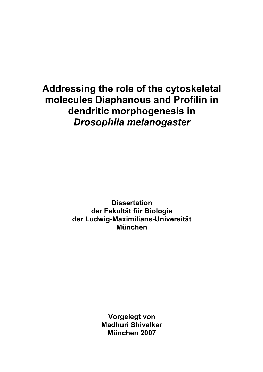 Addressing the Role of the Cytoskeletal Molecules Diaphanous and Profilin in Dendritic Morphogenesis in Drosophila Melanogaster