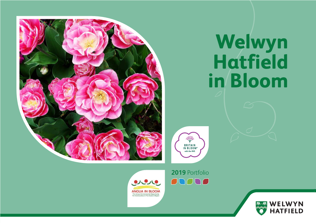 Welwyn Hatfield in Bloom