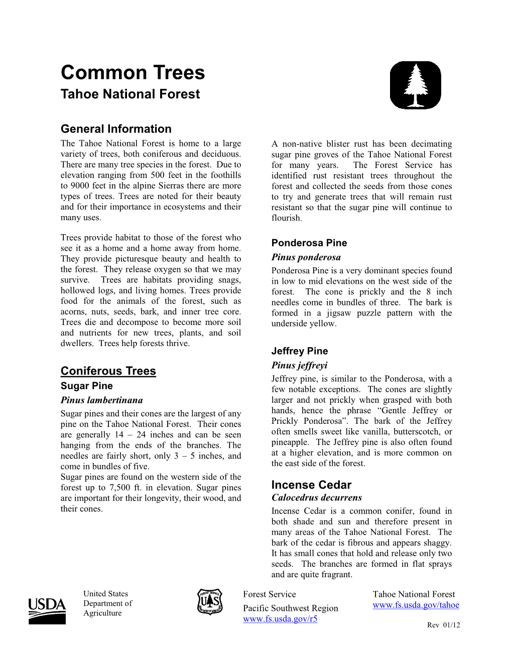 Common Trees of the Tahoe National Forest