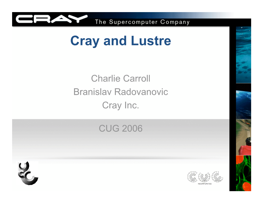 Lustre File System Plans and Performance on Cray Systems