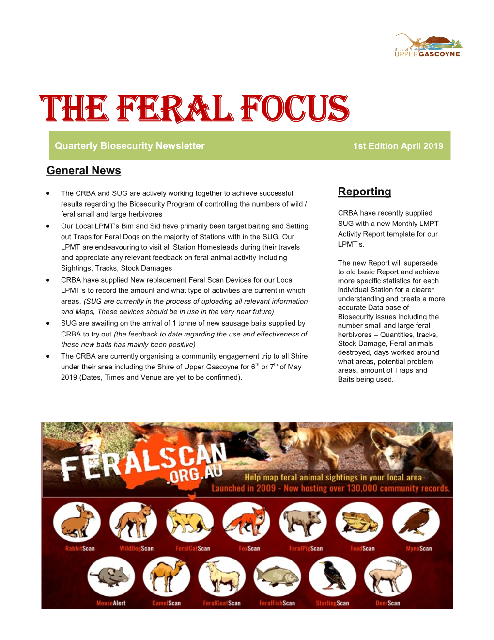 The Feral Focus