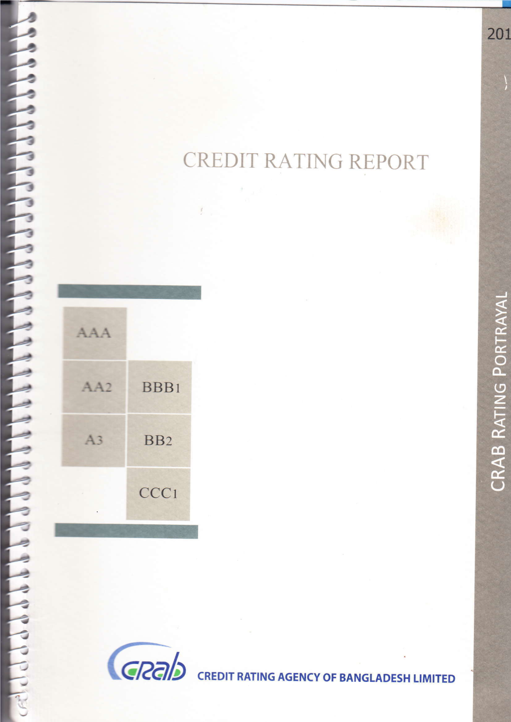 Credit Rating Report