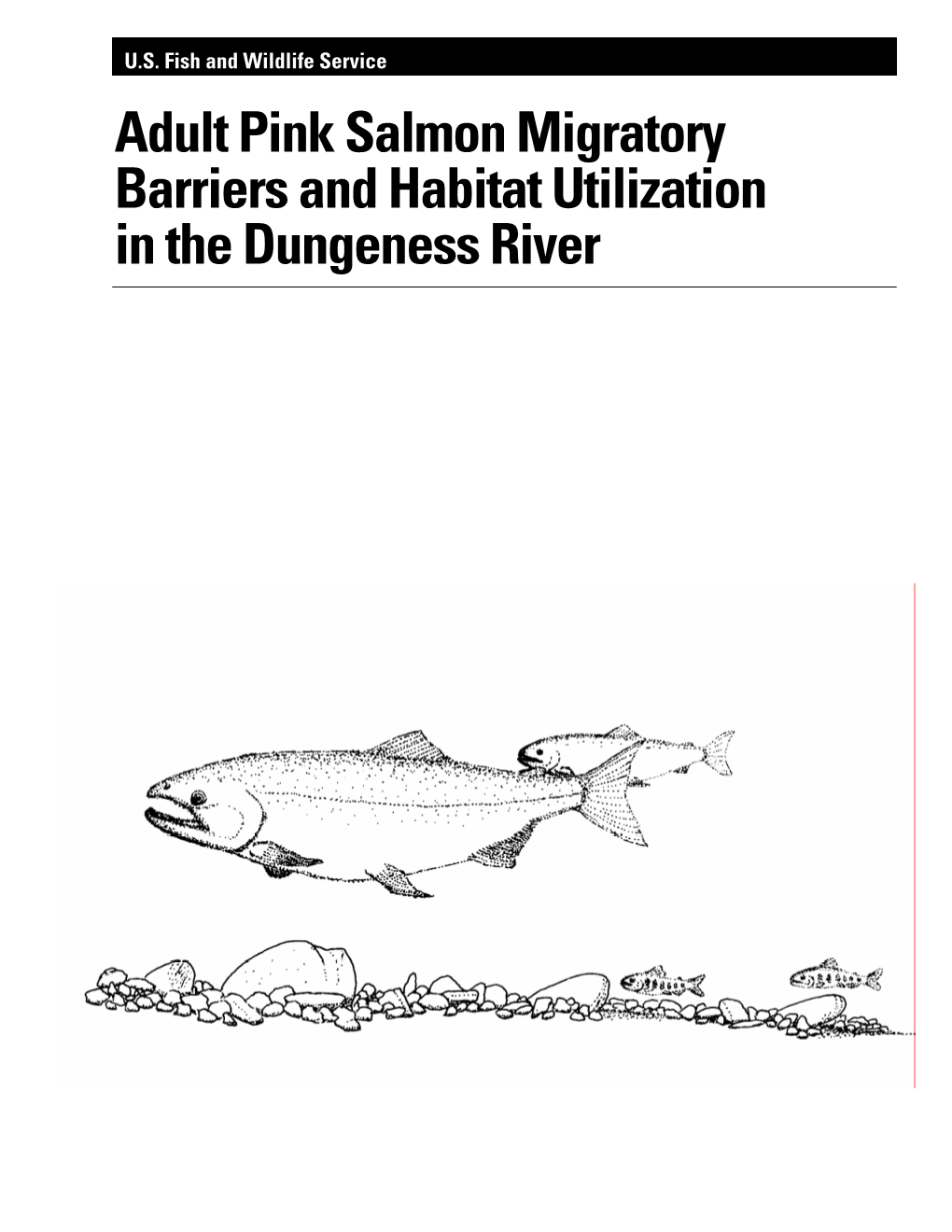 Adult Pink Salmon Migratory Barriers and Habitat Utilization in the Dungeness River