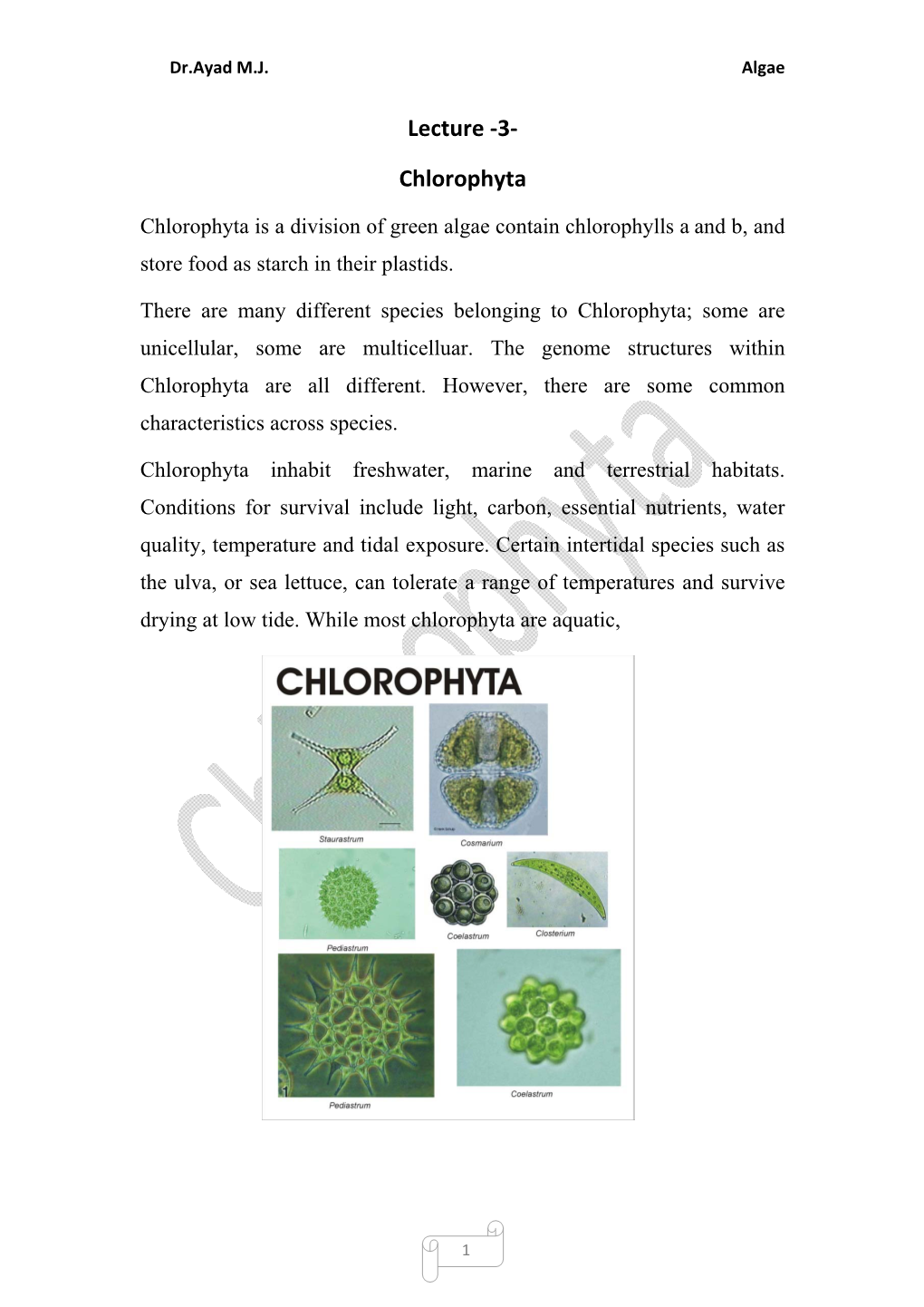 Lecture -3- Chlorophyta