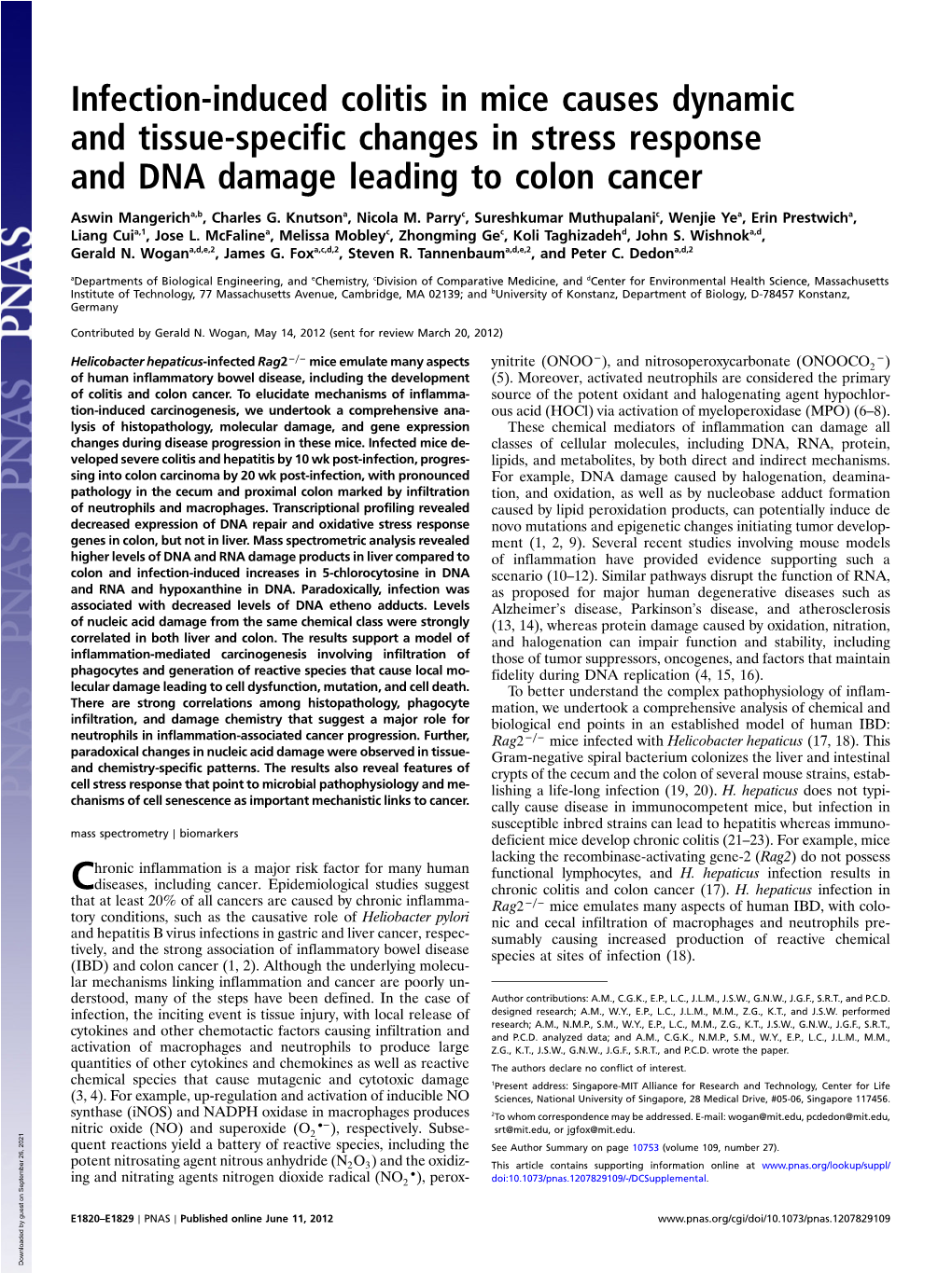 Infection-Induced Colitis in Mice Causes Dynamic and Tissue-Specific Changes in Stress Response and DNA Damage Leading to Colon Cancer