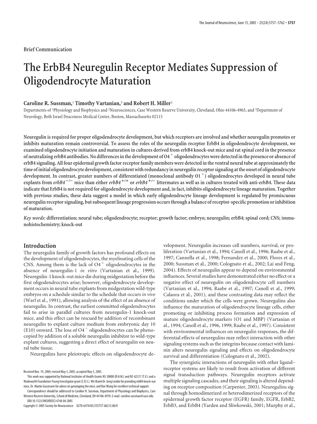The Erbb4 Neuregulin Receptor Mediates Suppression of Oligodendrocyte Maturation