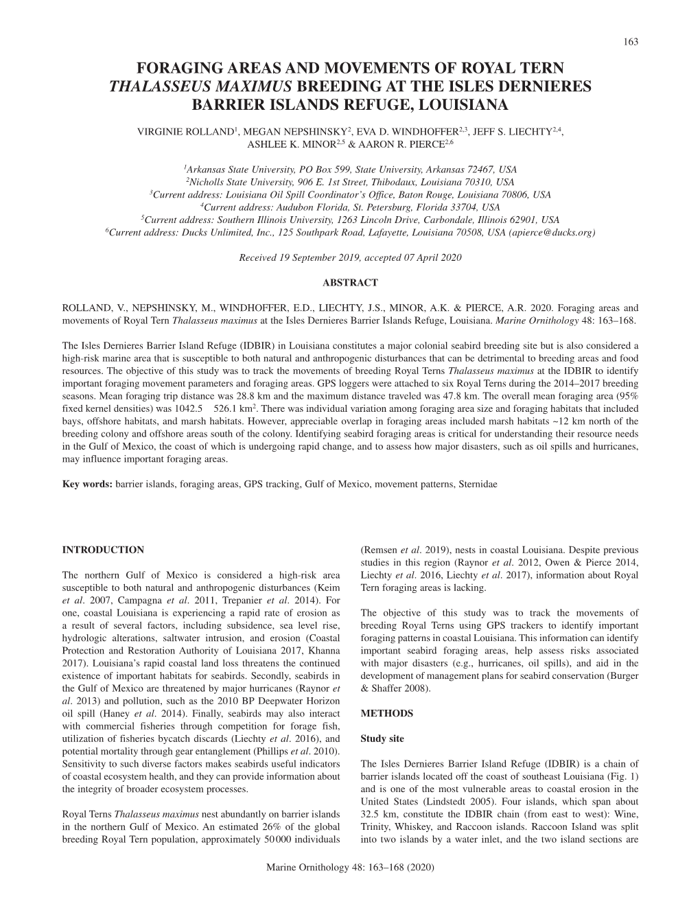 Foraging Areas and Movements of Royal Tern