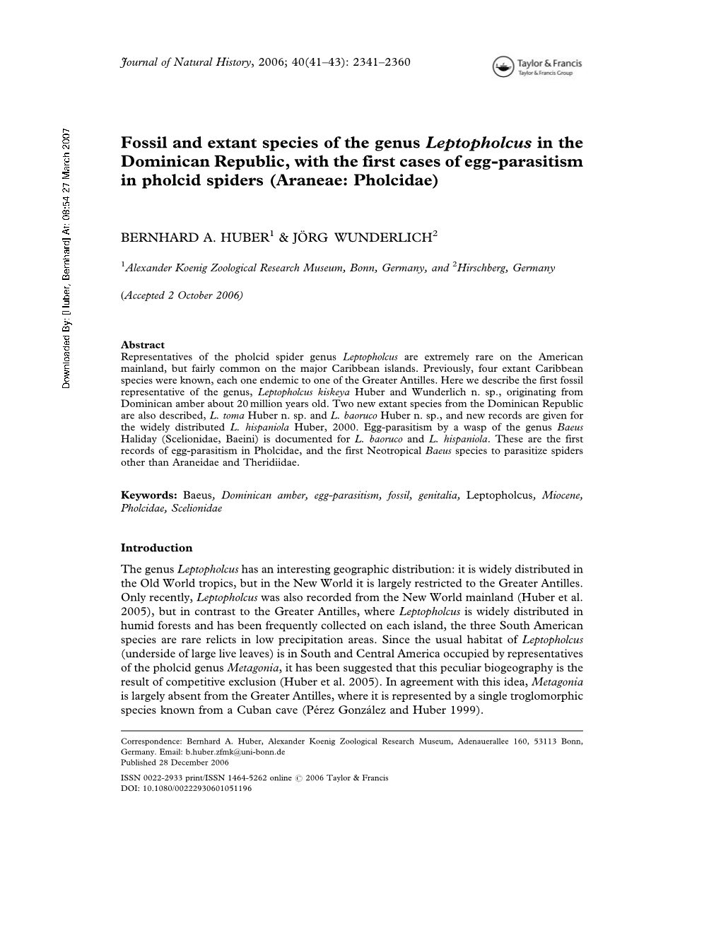 Fossil and Extant Species of the Genus Leptopholcus in the Dominican