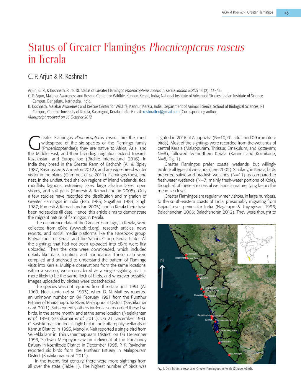 Status of Greater Flamingos Phoenicopterus Roseus in Kerala