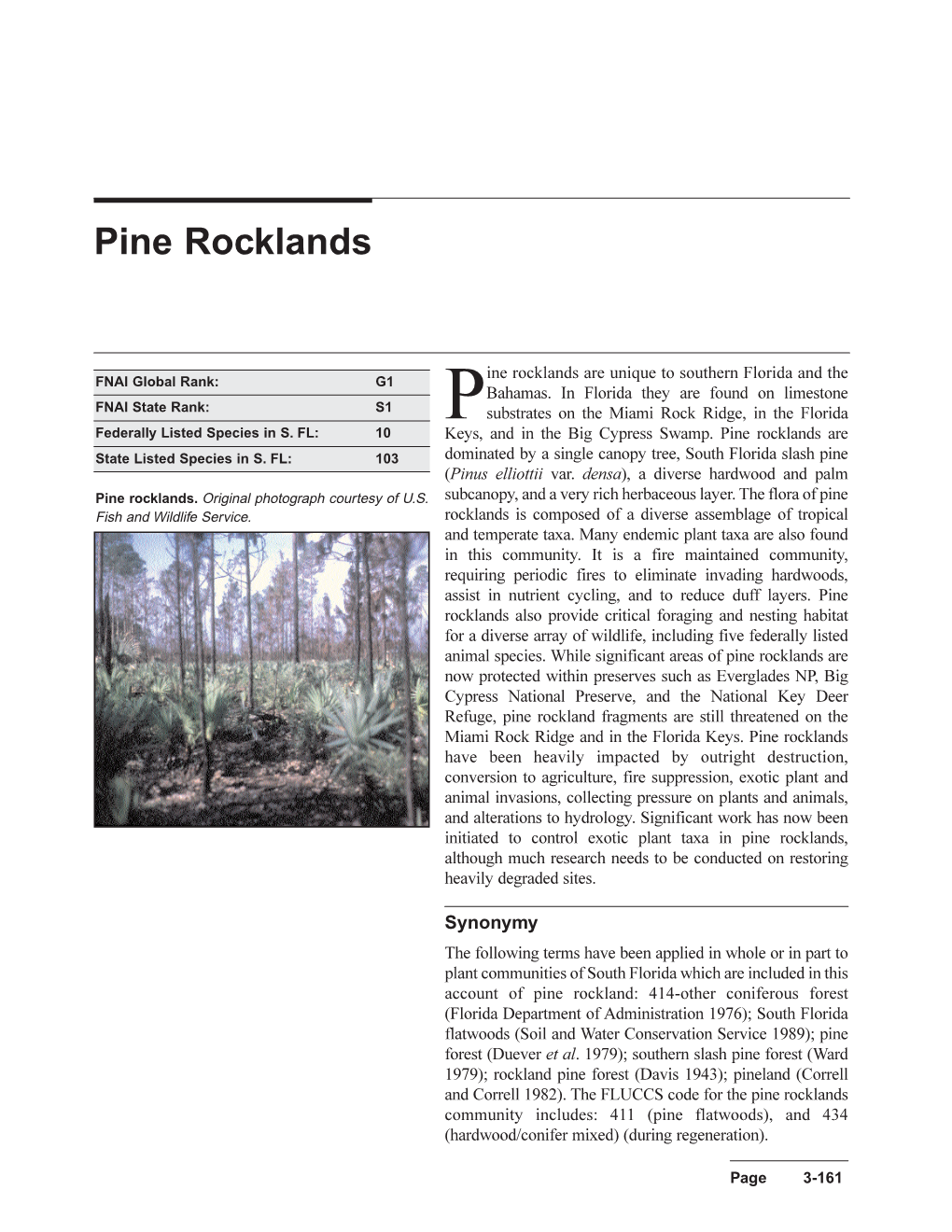 Pine Rocklands Are Unique to Southern Florida And