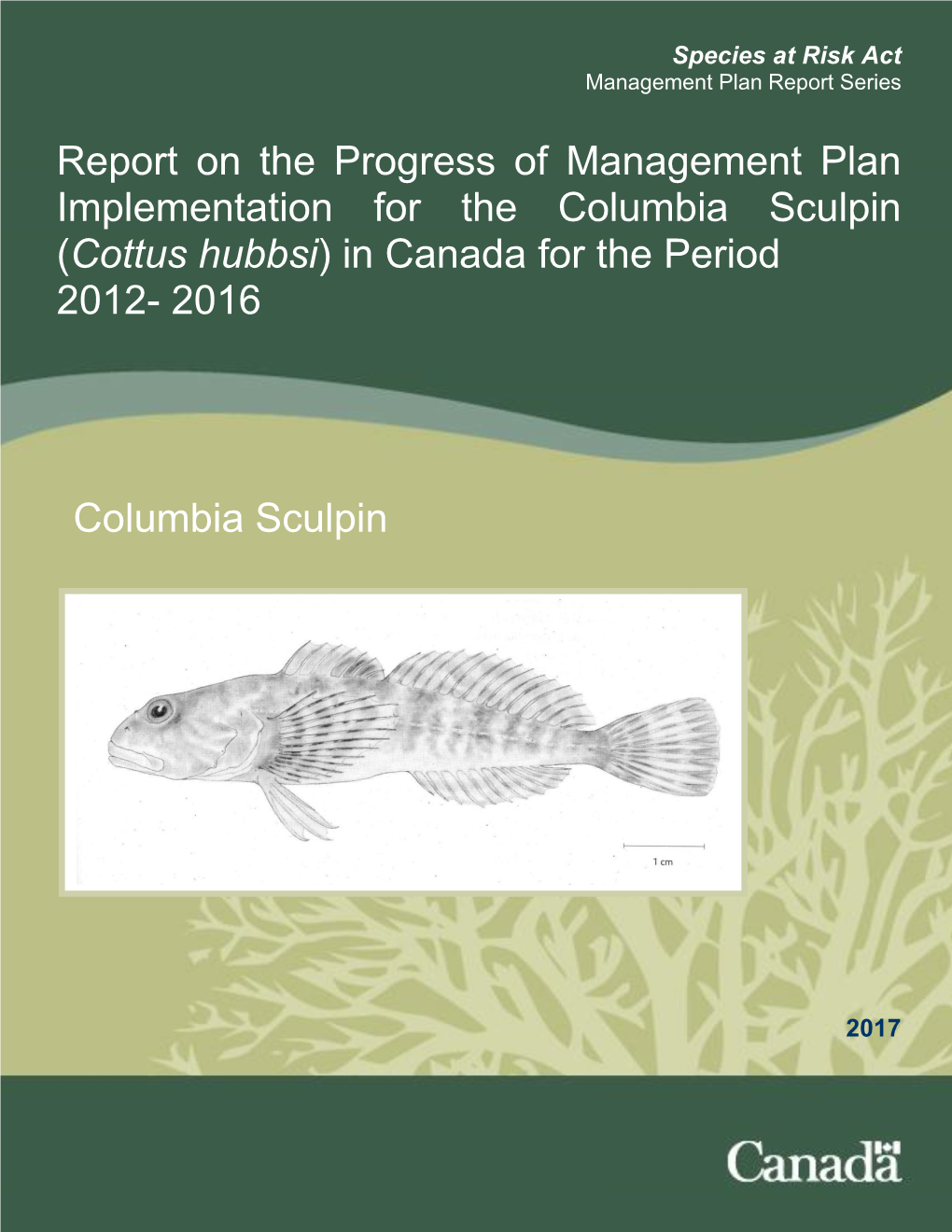 Cottus Hubbsi) in Canada for the Period 2012- 2016