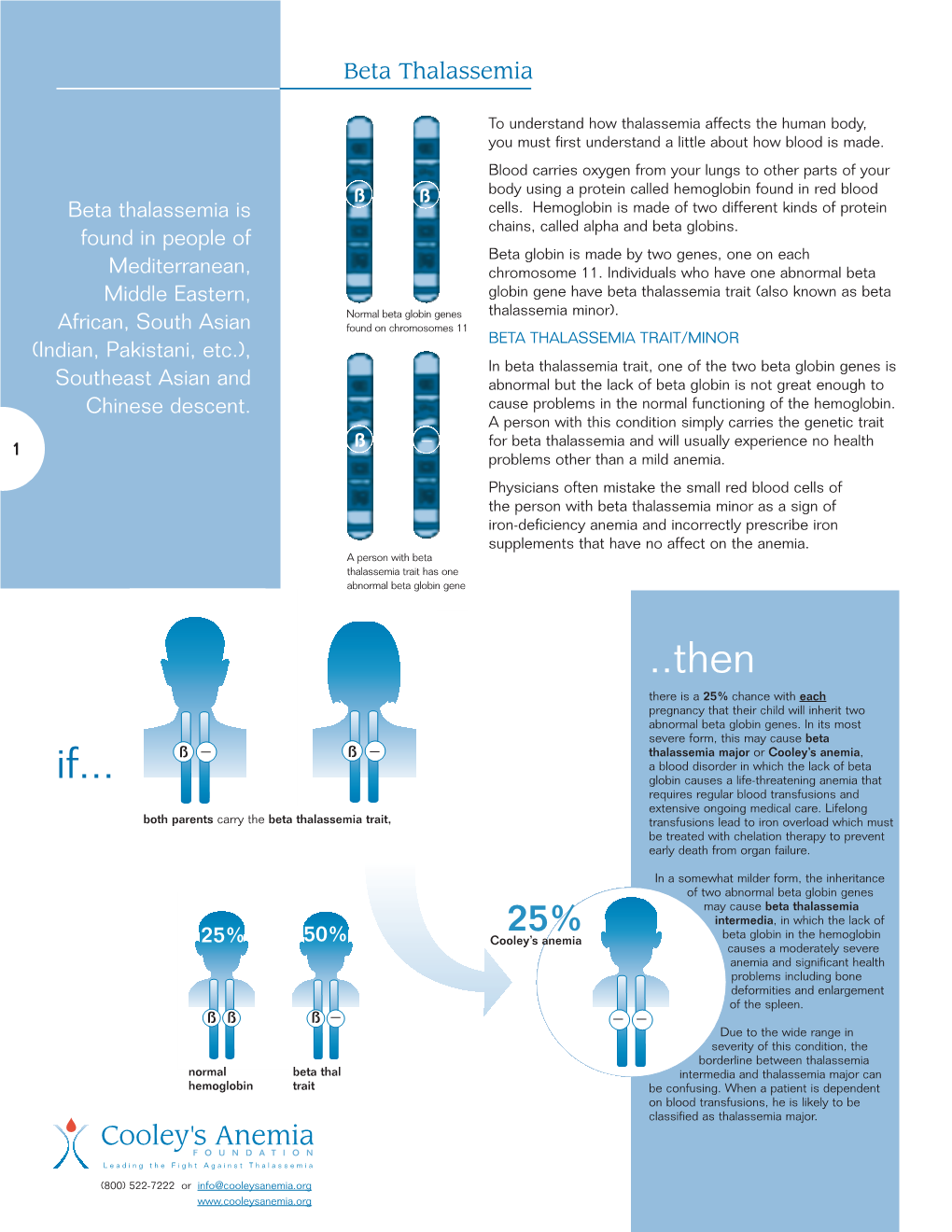 Beta Thalassemia