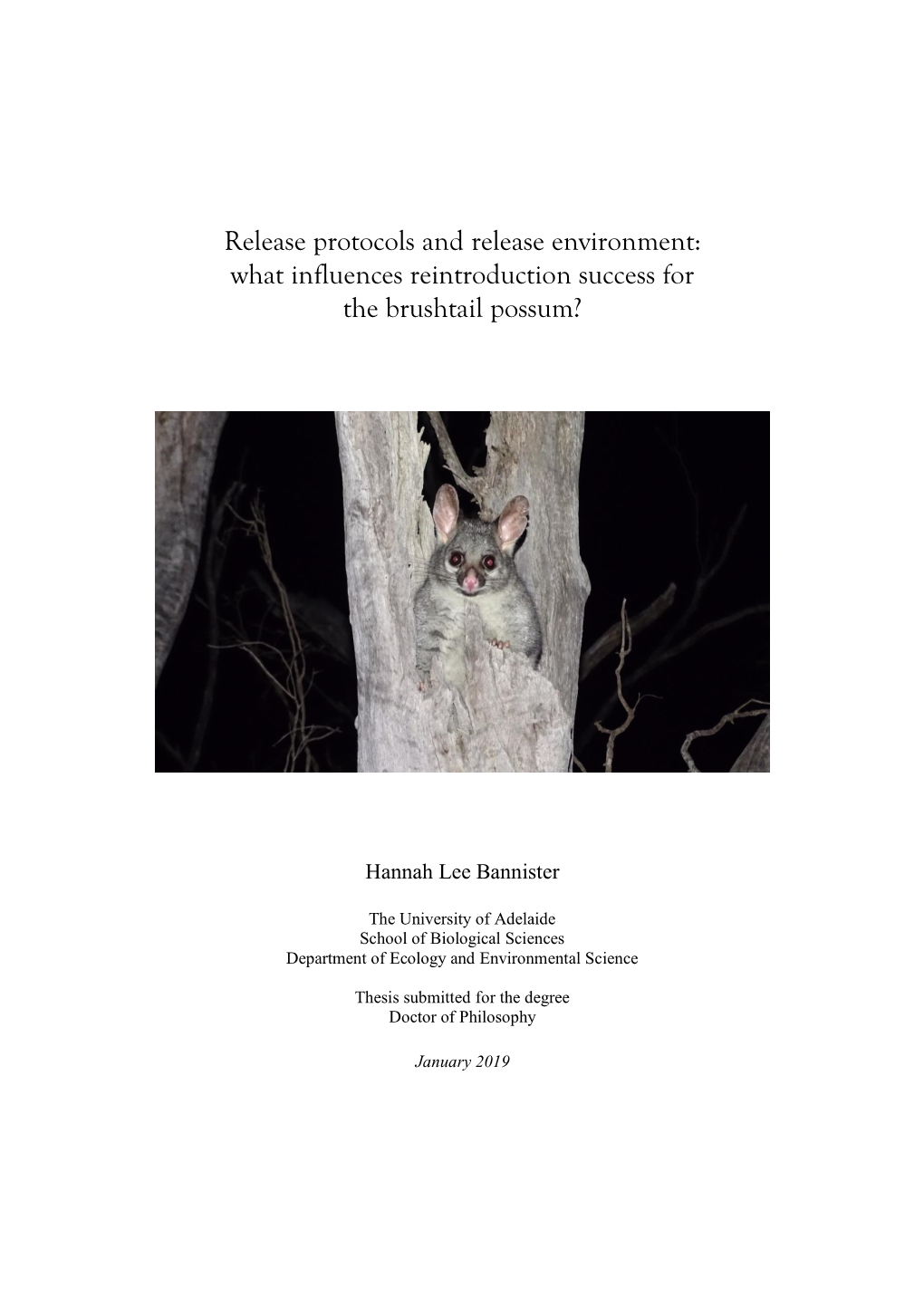 What Influences Reintroduction Success for the Brushtail Possum?