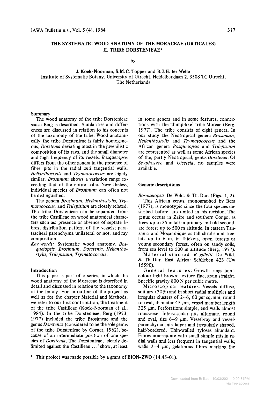 IAWA Bulletin Ns, Vol. 5 (4),1984 317 the SYSTEMATIC WOOD ANATOMY of the MORACEAE