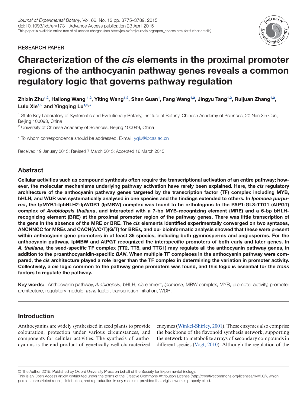 Characterization of the Cis Elements in the Proximal Promoter Regions Of