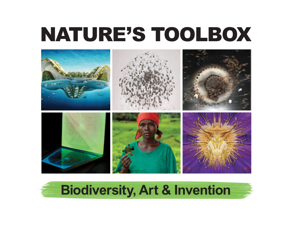 Nature's Toolbox: Biodiversity, Art & Invention