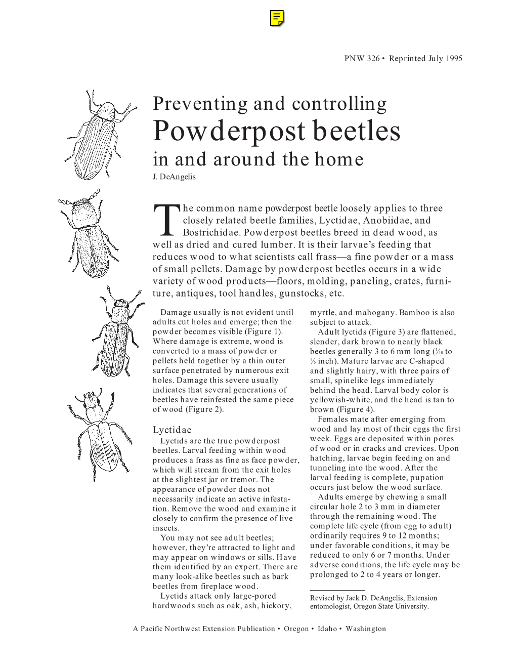 Preventing and Controlling Powderpost Beetles in and Around the Home J