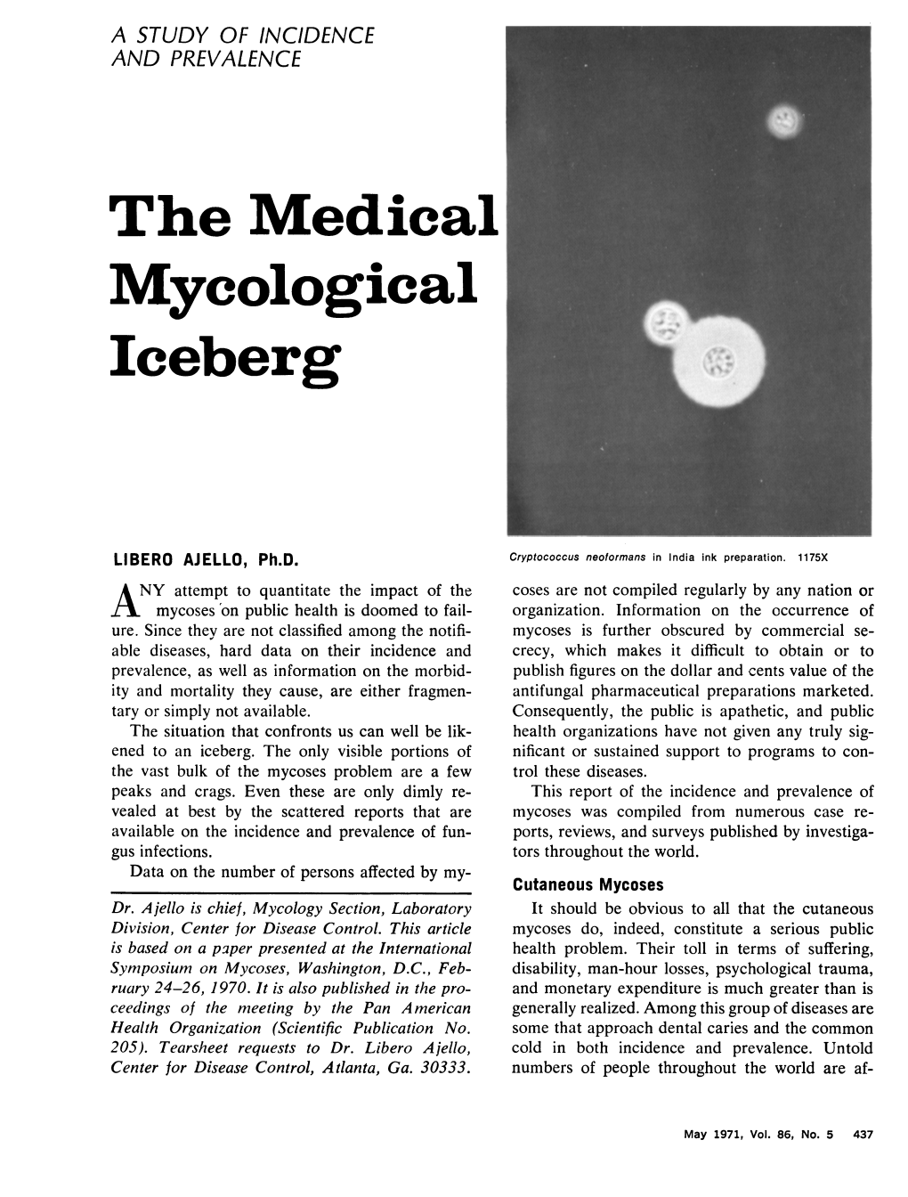 The Medical Mycological Iceberg