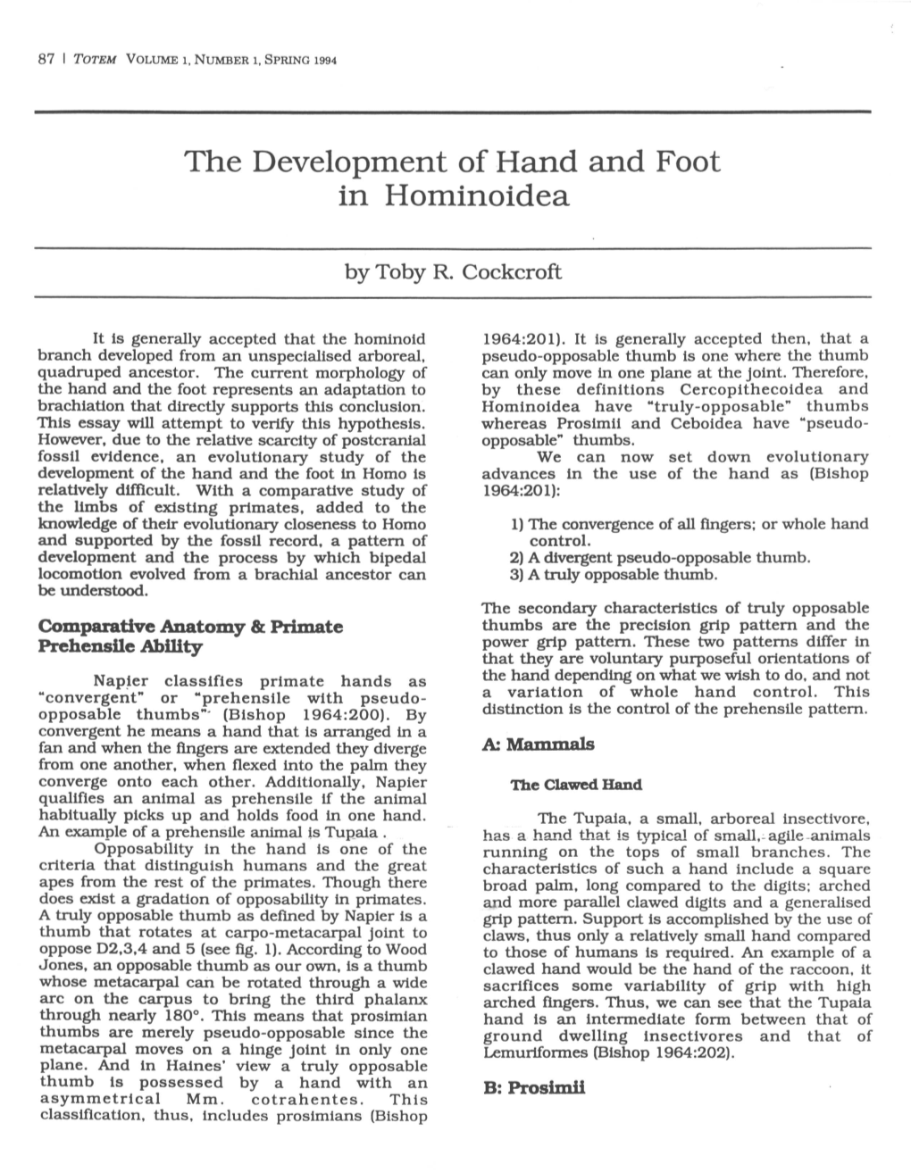 The Development of Hand and Foot in Hominoidea