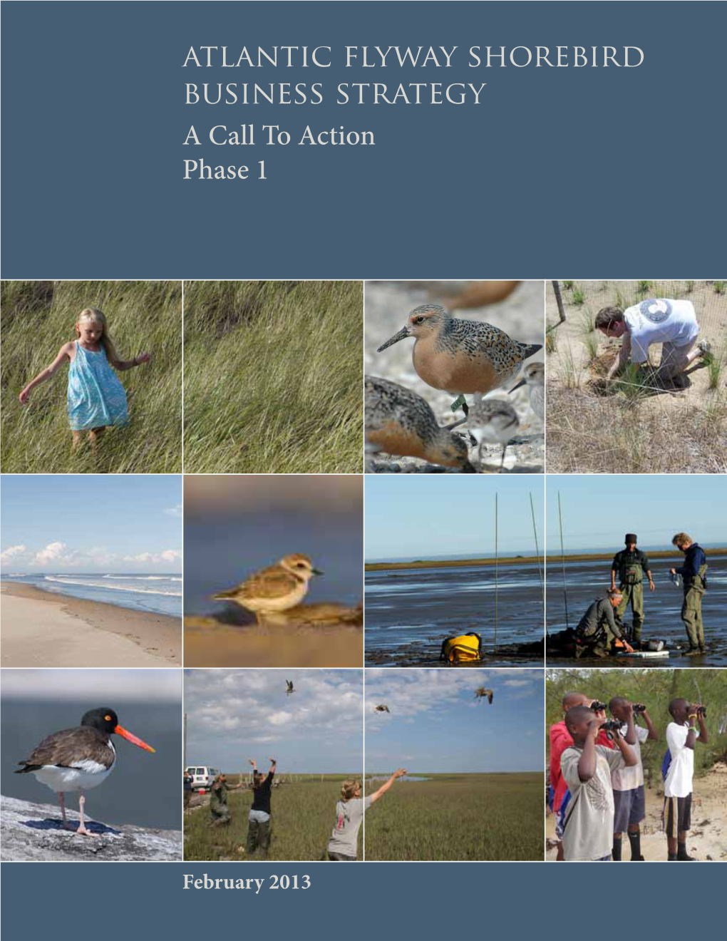 Atlantic Flyway Shorebird Business Strategy a Call to Action Phase 1