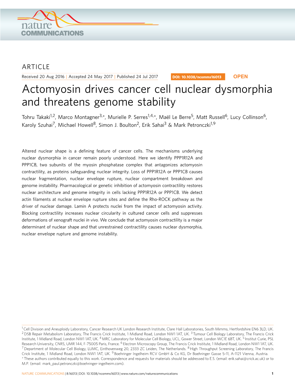 Actomyosin Drives Cancer Cell Nuclear Dysmorphia and Threatens Genome Stability