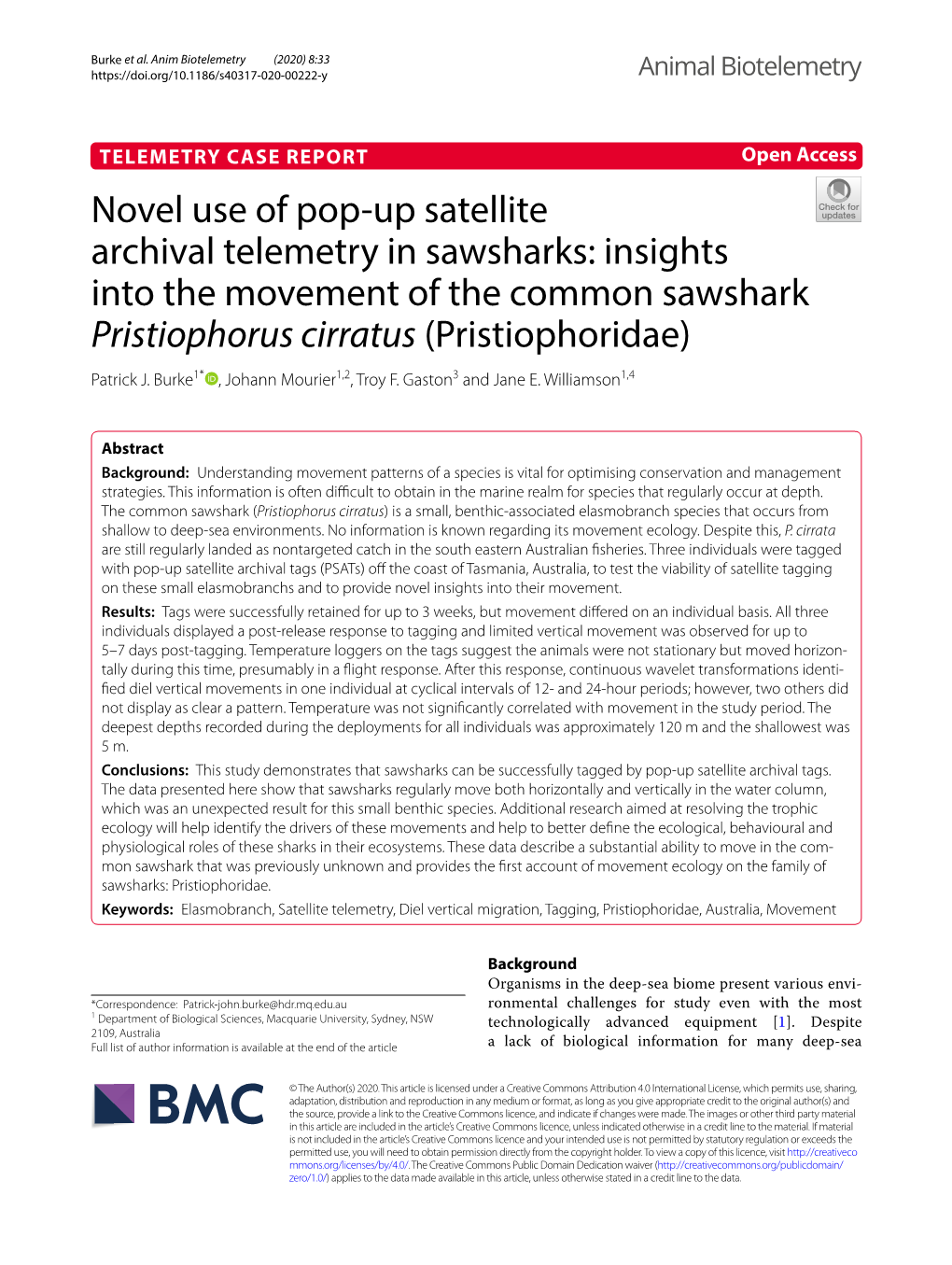 Novel Use of Pop-Up Satellite Archival Telemetry in Sawsharks