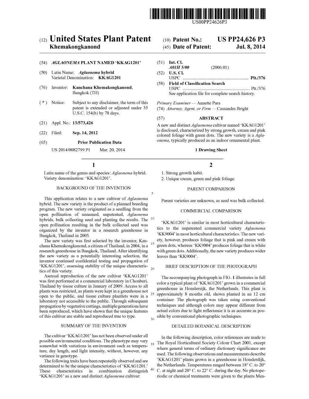 (12) United States Plant Patent (10) Patent N0.: US PP24,626 P3 Khemakongkanond (45) Date of Patent: Jul