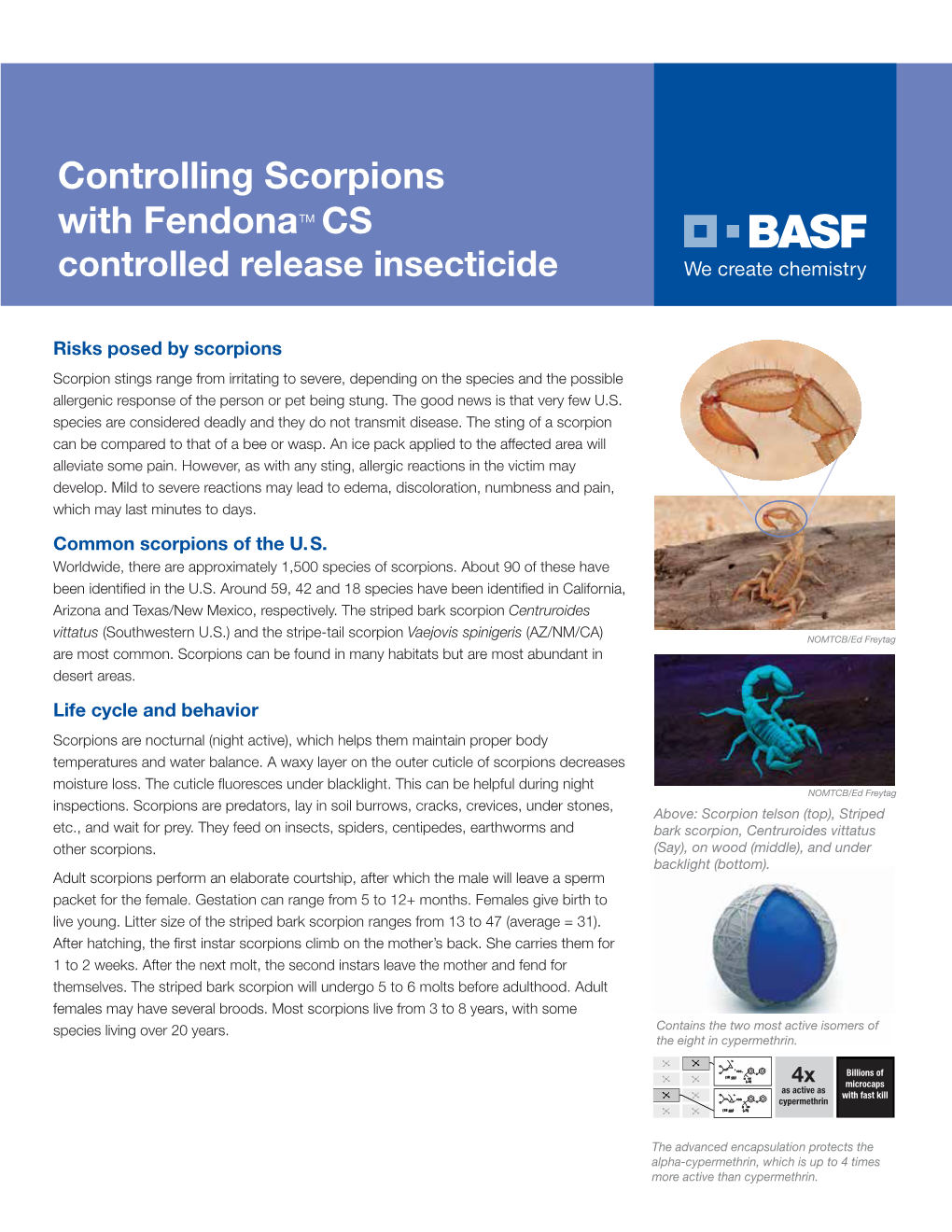 Controlling Scorpions with Fendonatm CS Controlled Release Insecticide