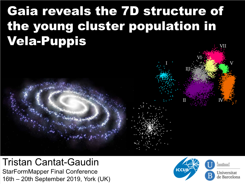 Gaia Reveals the 7D Structure of the Young Cluster Population in Vela-Puppis