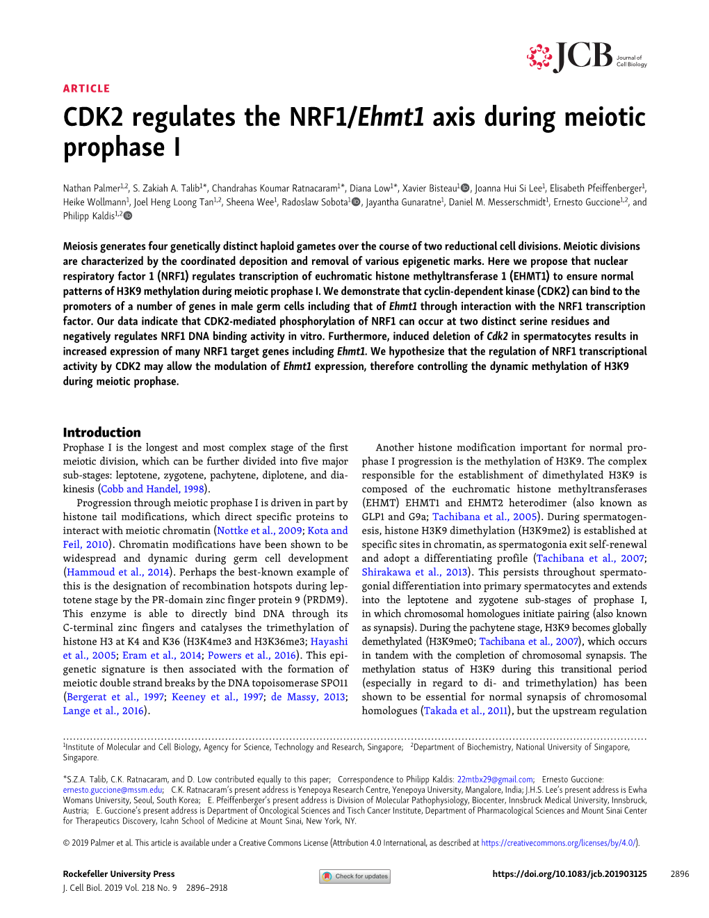 CDK2 Regulates the NRF1/Ehmt1 Axis During Meiotic Prophase I