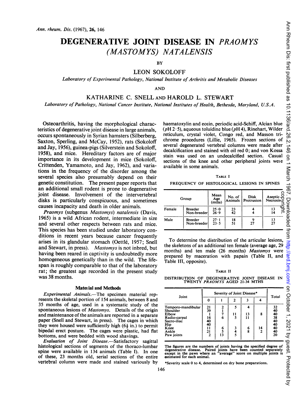 Degenerative Joint Disease in Praomys (Mastomys)