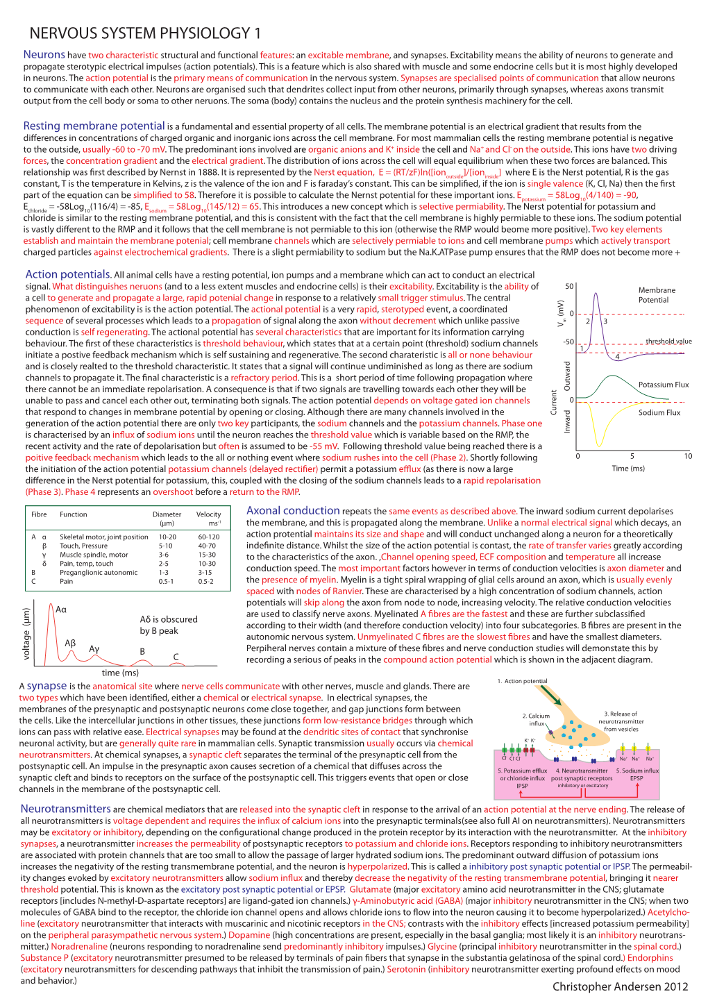 Neuro Physiology 1