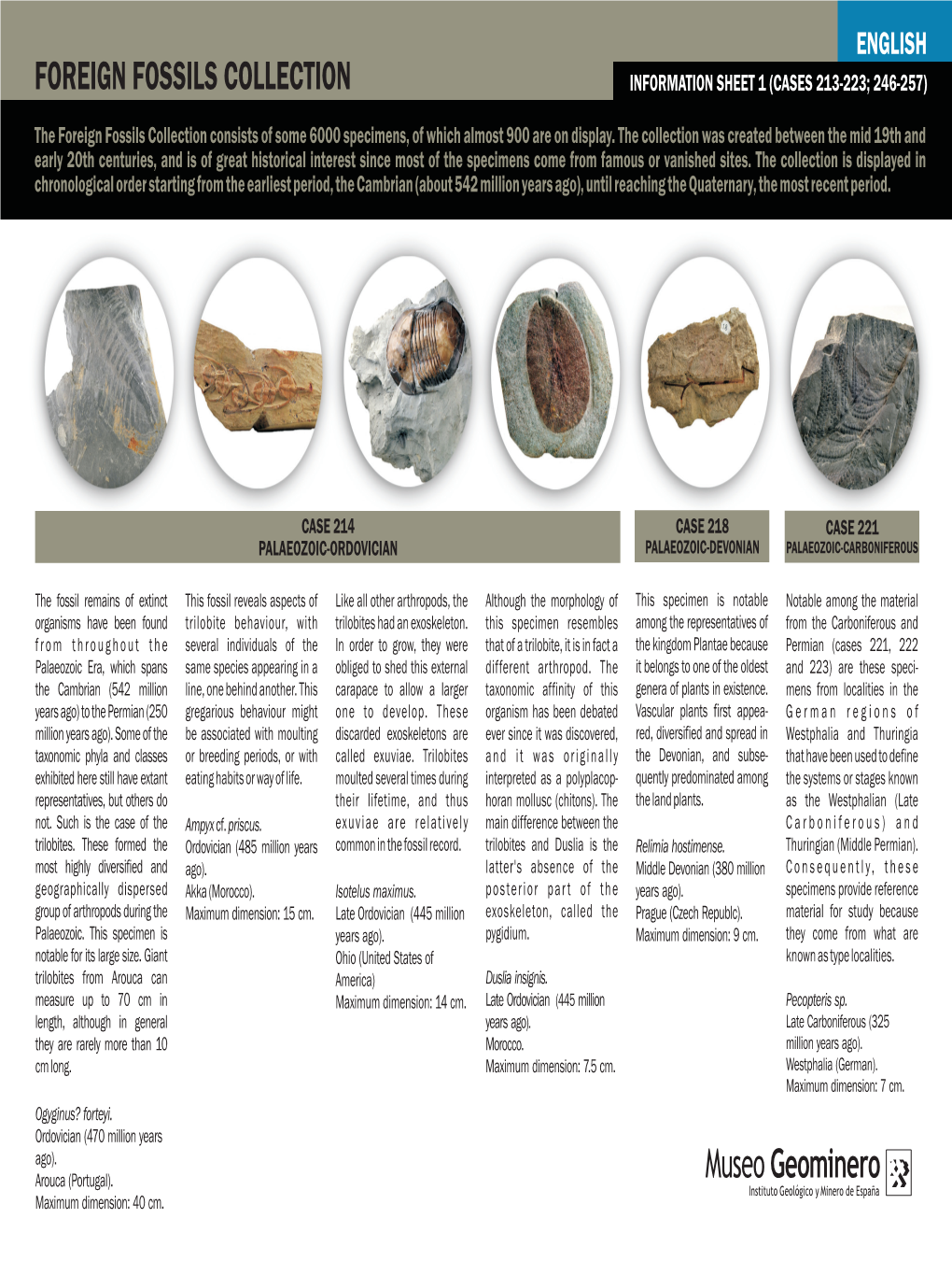 Foreign Fossils Collection Information Sheet 1 (Cases 213-223; 246-257)