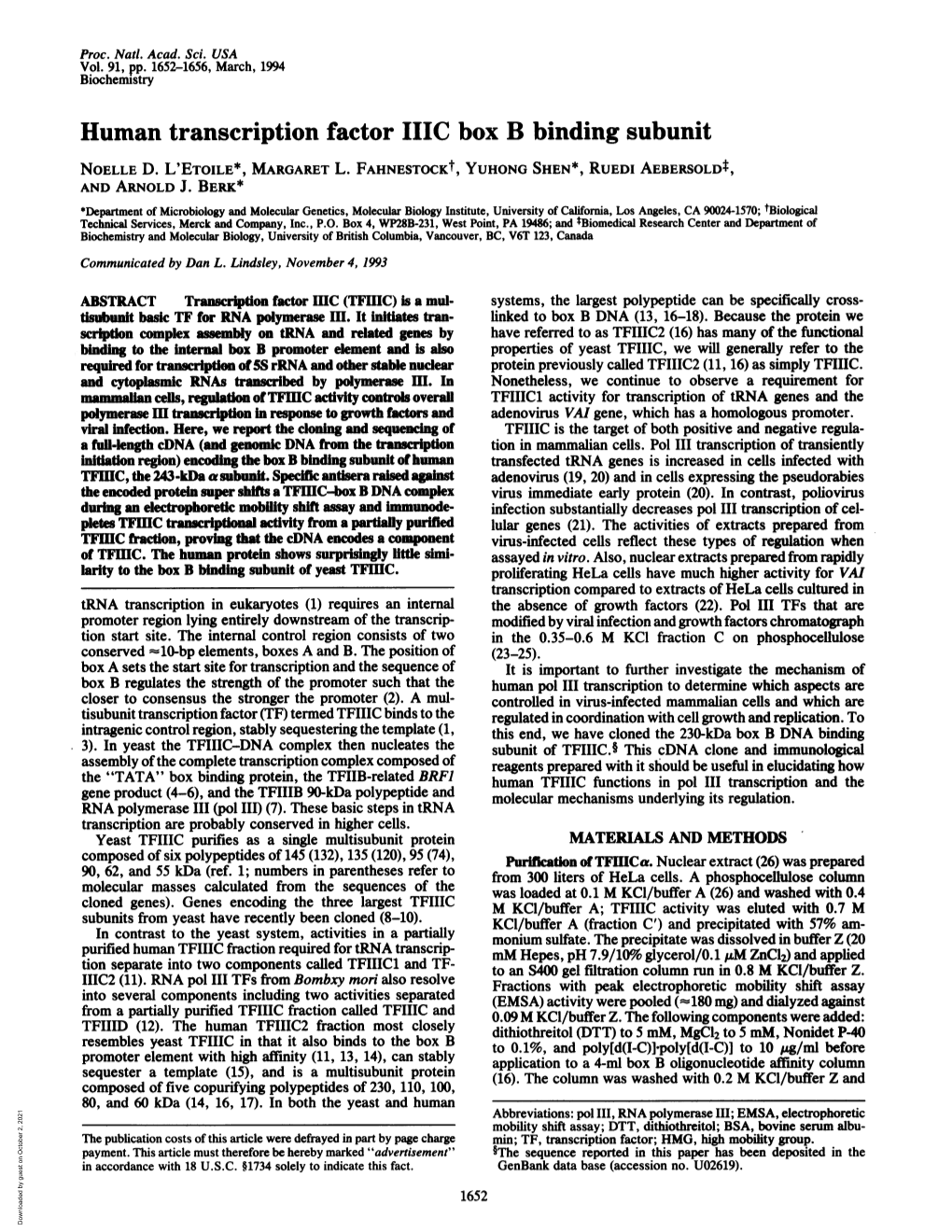 Human Transcription Factor ITIC Box B Binding Subunit NOELLE D