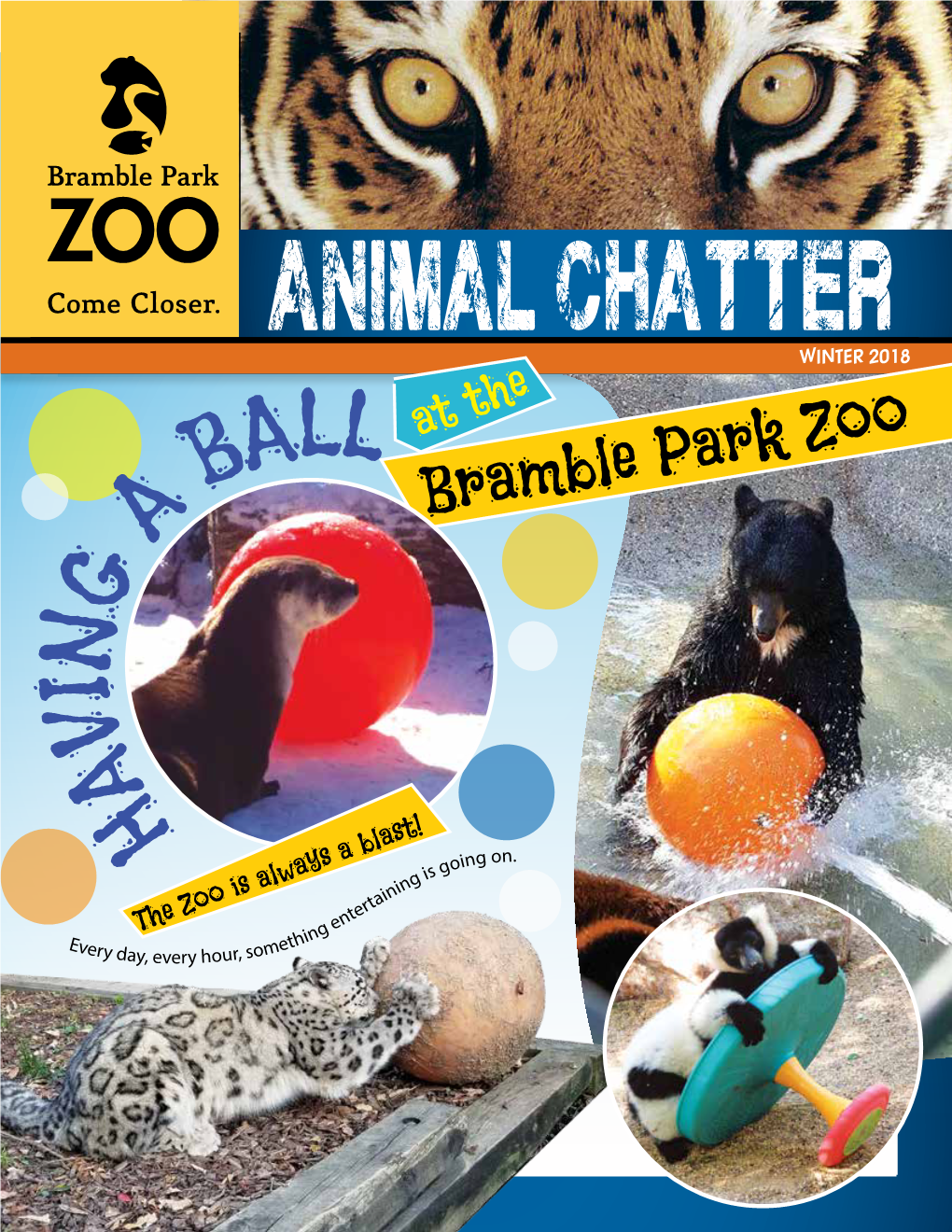 Animal Chatter Summer/Fallwinterfall 20162012 2018 All at the B Bramble Park Zoo a G