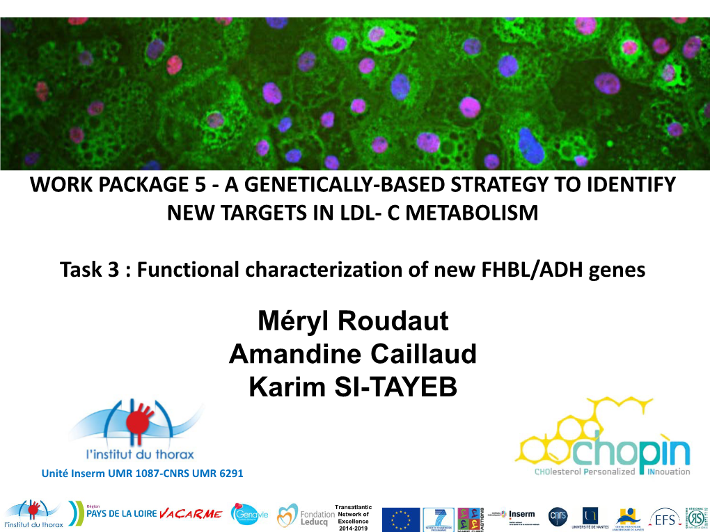 Work Package 5 - a Genetically-Based Strategy to Identify New Targets in Ldl- C Metabolism