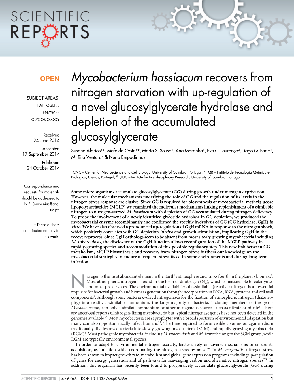Mycobacterium Hassiacum Recovers from Nitrogen Starvation with Up